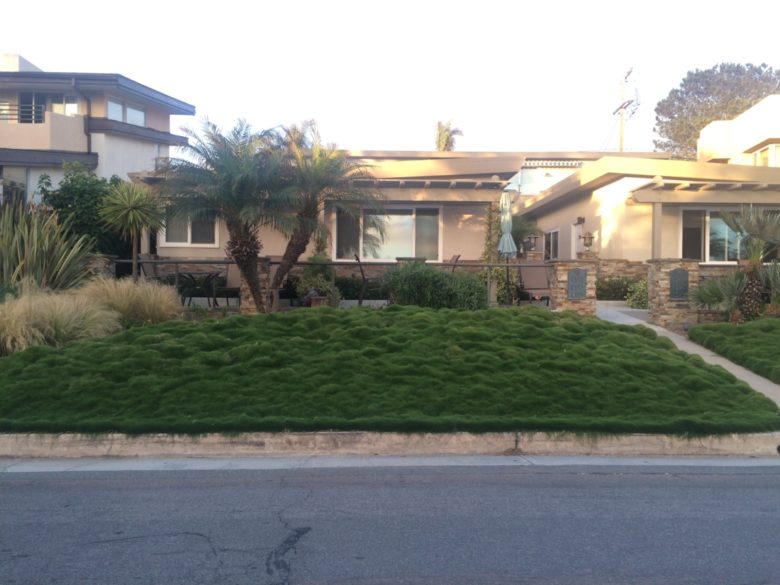 This house is across the street from the beach in San Diego, so I'm going to guess that is some very expensive imported grass product.